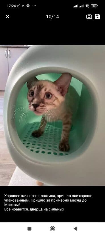 продам домик для кошки: Кошачий туалет — 4