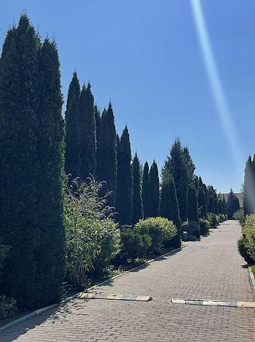 отдых на иссык куле с детьми: Сдаётся уютный коттедж на Иссык-Куле 🌿✨ Предлагаем вам отдых в — 7