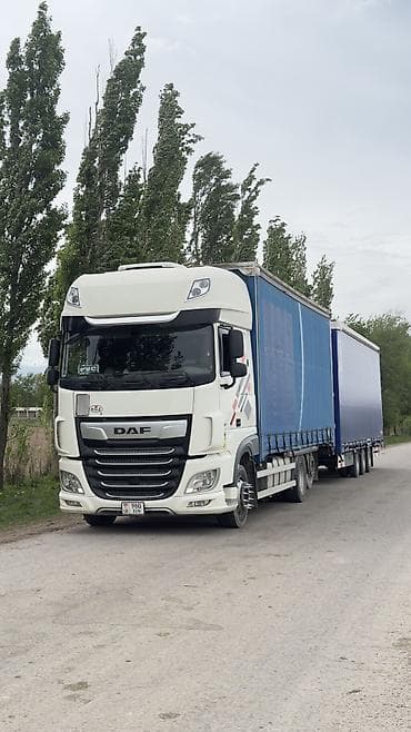 даф 2008: Грузовик, DAF — 4