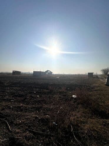 первомайское: 290 соток — 2