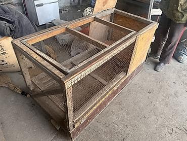 кок талаа: Брудер для цыплят. Цена 4000 Размеры: Длина 152 см Высота 78 см — 2