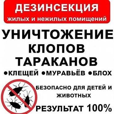 Клининговые услуги: Дезинфекция, дезинсекция, | Блохи, Вирусы, микробы, Клопы, | Кафе, магазины, Квартиры, Подъезды — 2