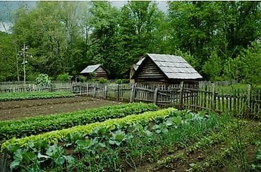 Дача, 70 м², 3 комнаты, Собственник, Косметический ремонт at lalafo.kg Дача, 70 м², 3 комнаты, Собственник, Косметический ремонт