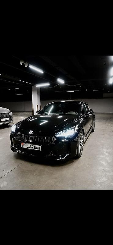 byd plus: Kia Stinger: 2019 г., 2 л, Автомат, Бензин, Лифтбек — 1