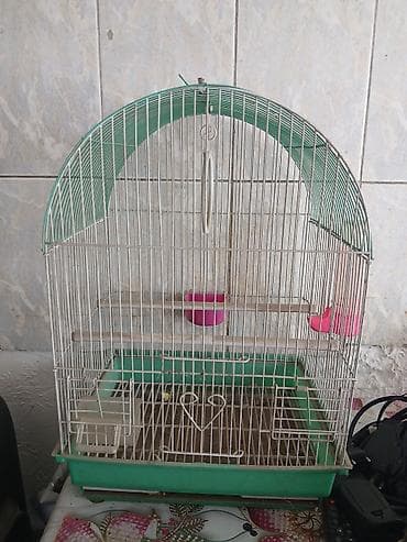 аквариум продаю: Клетка для птиц с полукруглым верхом — 1