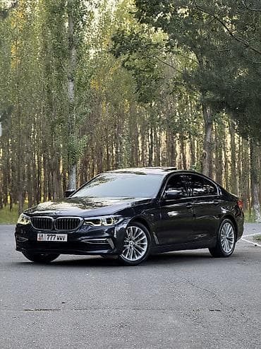 BMW 5 series: 2019 г., 2 л, Автомат, Бензин, Седан