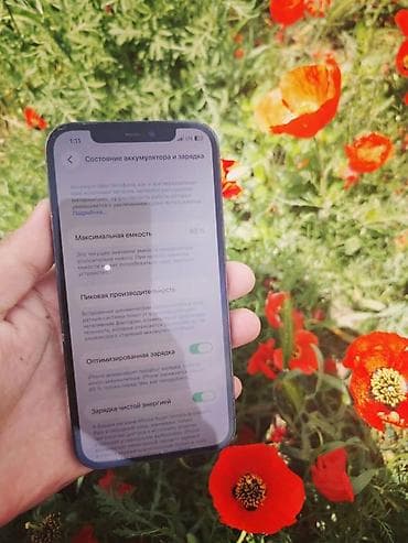 Техника жана электроника: IPhone 12 Pro, Pacific Blue, 83 % — 3