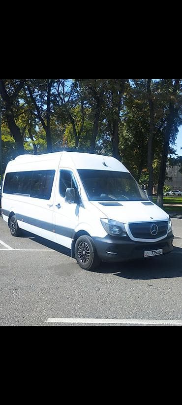 спринтер козырек: Mercedes-Benz Sprinter пассажирский микроавтобус (длинная база — 3