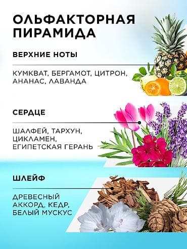 Личные вещи: Faberlic Tavarua — мужская туалетная вода с ароматическим — 2