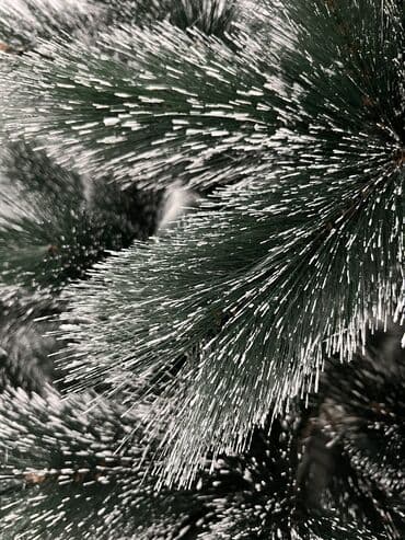 где можно купить воск для свечей: АКЦИЯ❗️ЕЛКА+ГИРЛЯНДА РОСА+ ИГРУШКИ В КОМПЛЕКТЕ. Бесплатная доставка — 3