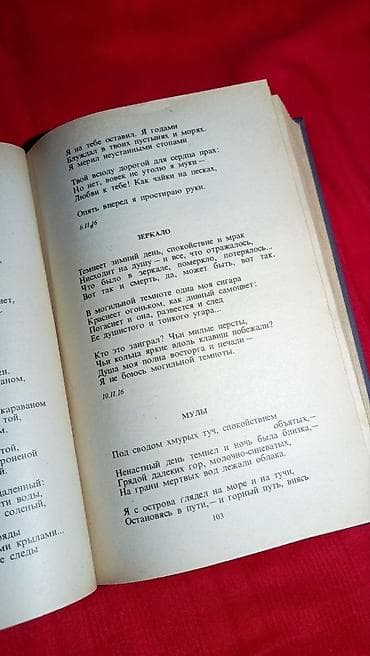 русская: Классика, На русском языке, Б/у, Самовывоз, Платная доставка — 6