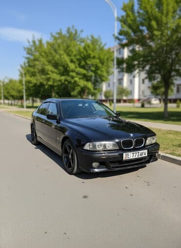 домкрат гидравлический для вытяжки авто: BMW 5 series: 1996 г., 2.8 л, Механика, Седан — 1