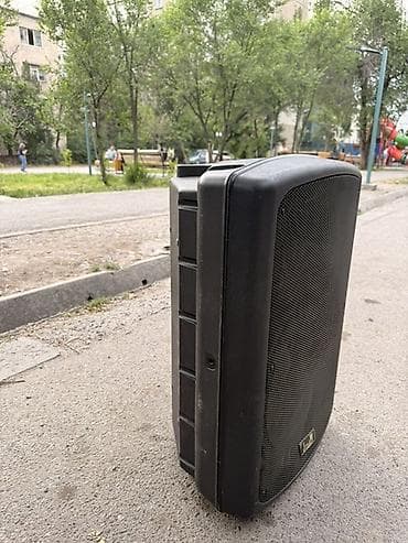 aphone x: Продаю! двухполосная акустическая система Soundking FP215. Есть торг — 2