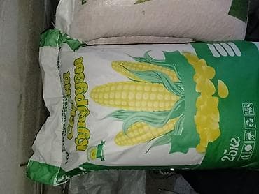 кальций для животных: Семена кукурузы, фасованные в мешки по 25 кг. 80 сом - Тип: зерно — 4