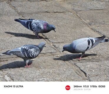 xiaomi 12t цена бишкек: Xiaomi, 13 Ultra, Колдонулган, 256 ГБ, түсү - Кара, 2 SIM — 8