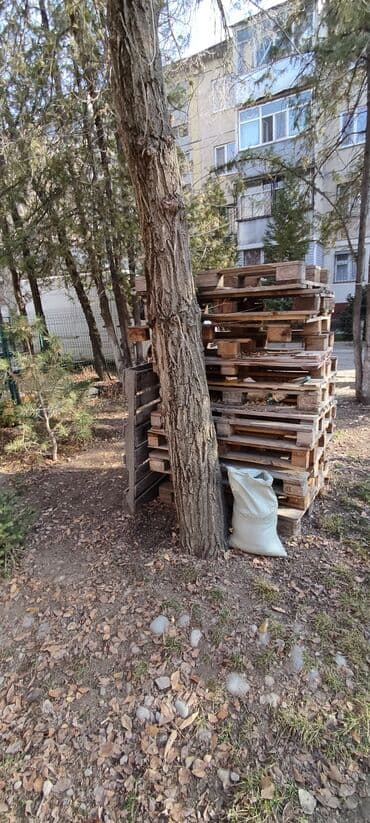 ящик для корма: Дрова Самовывоз — 2