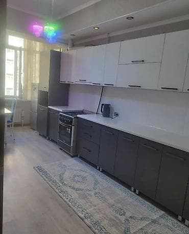 4: 1 комната, 44 м², Рабочий Городок Элитка, 4 этаж, Евроремонт — 4