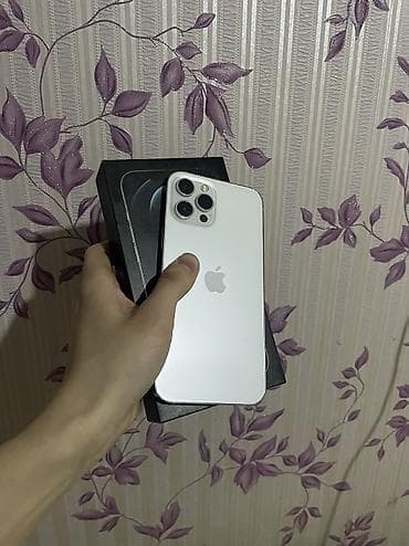 iphone 12 pro max ош: IPhone 12 Pro Max, Б/у, 128 ГБ, White Titanium, Защитное стекло, Чехол, Кабель, 79 % — 1