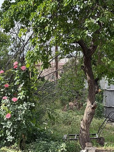 льва: 🏡 Продаётся трёхкомнатный дом барачного типа в Пишпеке 📏 Площадь: 54 — 9