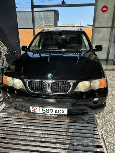BMW X5: 2003 г., 3 л, Автомат, Бензин, Кроссовер