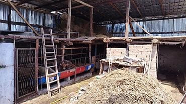 Үйлөр: Кара-балта пачтовый ул фурманова 42а все докумееты есть просим 63000 — 9