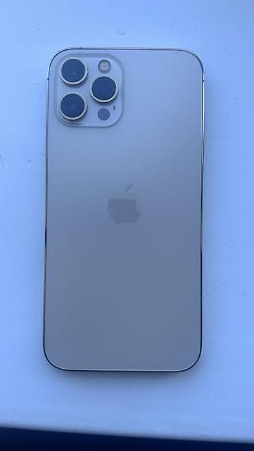 ipone 11: IPhone 12 Pro Max, 256 ГБ, Золотой, Защитное стекло, Чехол — 4