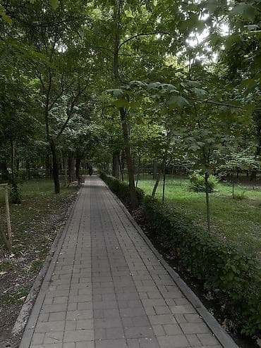 работа на иссыккуль: 2 комнаты, 62 м², Мед Академия Элитка, 3 этаж, ПСО (под самоотделку) — 10