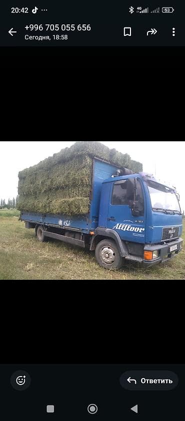 Грузовик, MAN, Стандарт — 4