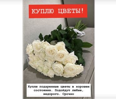 Куплю подаренные цветы в хорошем состоянии. Рассмотрю любые варианты и