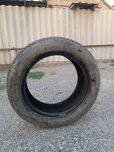 Шины 205 / 55 / R 16, Лето, Б/у, 1 шт, Легковые, Германия, Michelin at lalafo.kg Шины 205 / 55 / R 16, Лето, Б/у, 1 шт, Легковые, Германия, Michelin