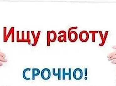 официант на ночь: Официант. Без опыта — 1