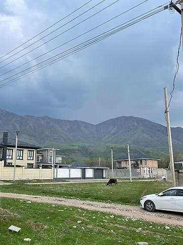 8 соток, Курулуш, Кызыл китеп, Сатып алуу-сатуу келишими