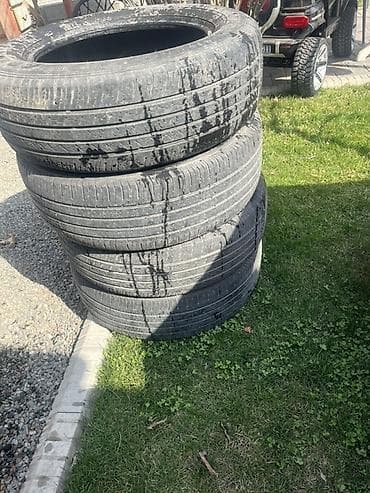 Шиналар: Комплект автомобильных шин,
Чисто сезон докатать — 1