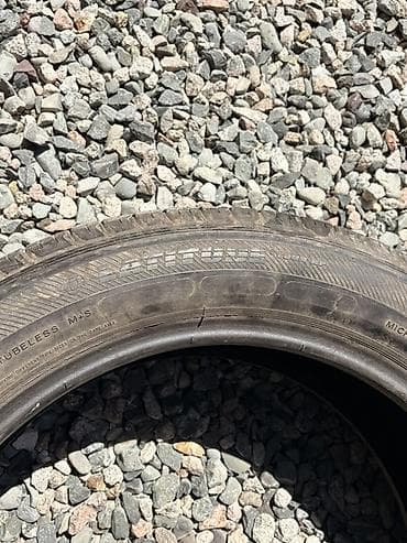 55: Шины 235 / 55 / R 19, Лето, Внедорожные (АТ/МТ), Франция, Michelin — 3