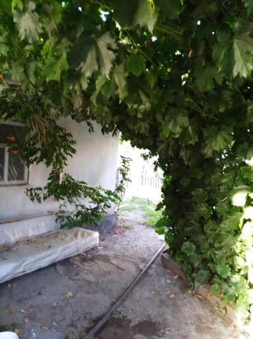 сдаётся квартира дом: Үй, 65 кв. м, 4 бөлмө, Менчик ээси — 14