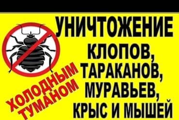 дезинфекция дома от клопов ош: Дезинфекция, дезинсекция, | Клопы, Блохи, Тараканы, | Транспорт, Подъезды, Офисы — 4