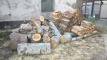 баняа: Дрова — 1