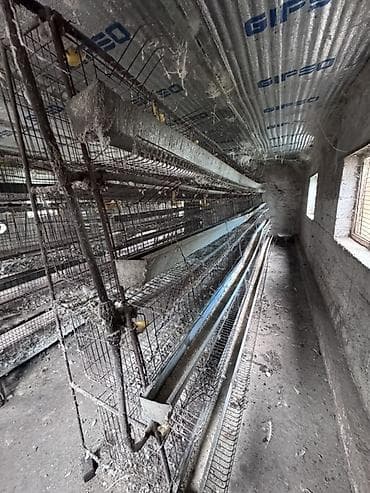 промышленный фильтр: Многоярусные клетки для птицы, предназначенные для содержания — 3