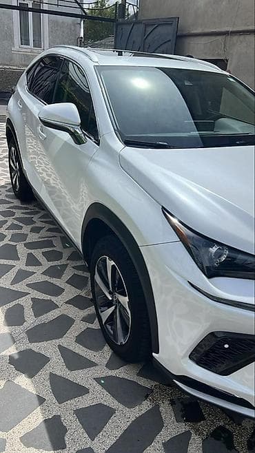 Транспорт: Lexus NX: 2021 г., 2 л, Автомат, Бензин, Кроссовер — 1