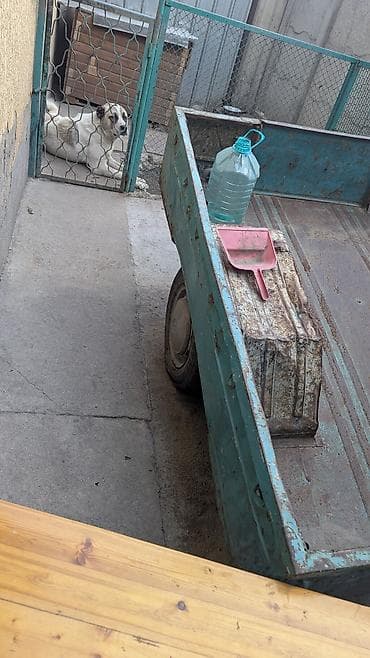 кузов на прицеп: Прицеп, Бортовой, Б/у — 1