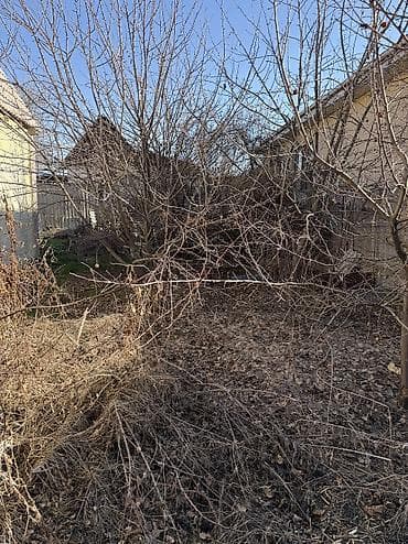 Стирка ковров: Уборка помещений, | Генеральная уборка — 2