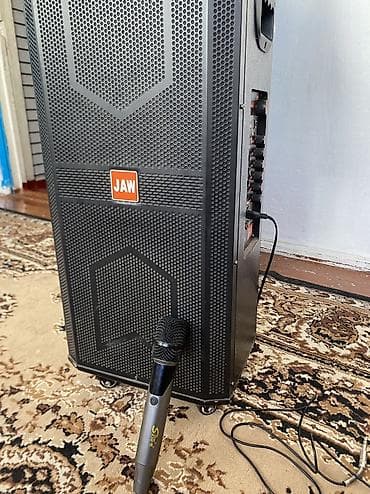xbox 360 jasper: АРЕНДА КАЛОНКА АРЕНДА по 800 сом сутки по городу Кара Балта есть — 2