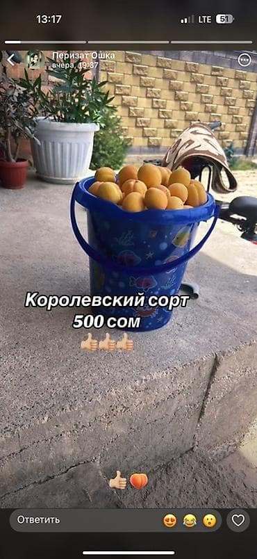 Продукты питания: Абрикосы Королевский, В розницу — 2