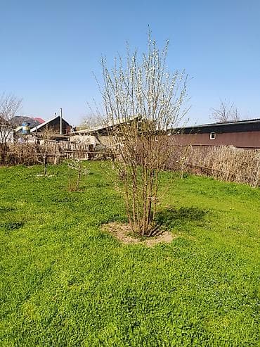 многоэтажные: Продаётся жилой дом с участком 14,5 соток. Можно под любой бизнес или — 1