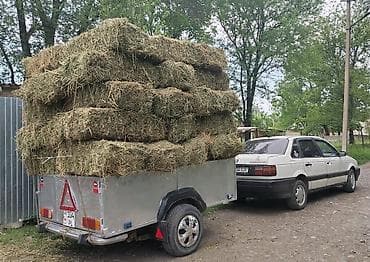 форь: Volkswagen Passat: 1990 г., Бензин, Седан — 2