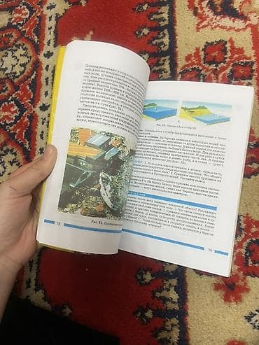 географии: Учебник: «География. Начальный курс. 6 класс» Авторы: Т. П — 2
