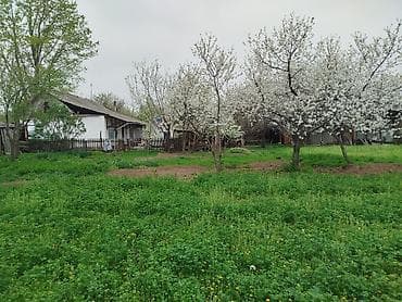 жаны уйлор: Продается дом 4 комнаты в городе Кант с.Гагарина дом очень хорошо — 4