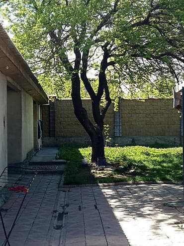 Недвижимость: Продаётся частный дом с земельным участком и хозпостройками. Что — 2