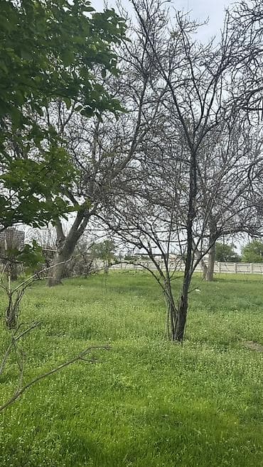 ул московская: 5 соток, Для строительства, Красная книга — 2