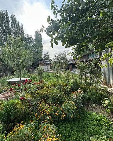 шопок: ✨ Продаётся дом в г. Шопоков ✨ 🏡 Характеристики: • Участок – 7,22 — 5